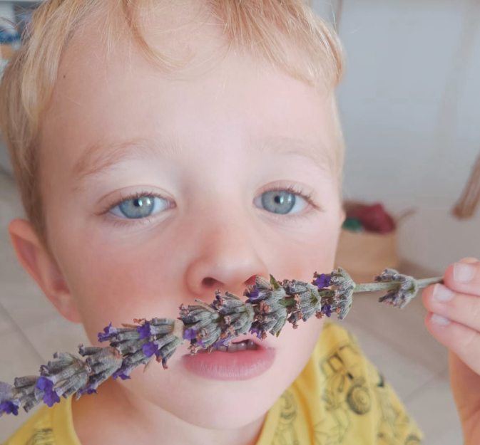 Captura desde 2026-03-02 13-20-08